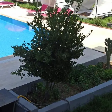 Ξενοδοχείο Alya
